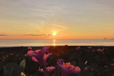 Hotel North Shore Beach Resort