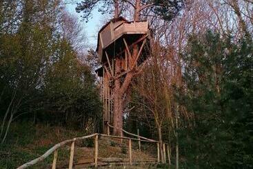 צימר Sherwood Tree