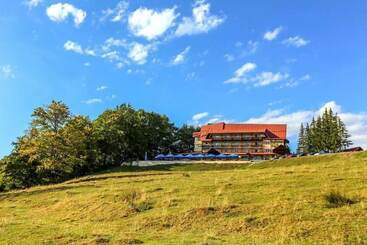 호텔 Cabana Trei Brazi