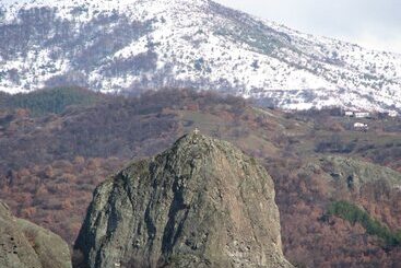 هتل Centaur Family