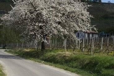 فندق La Martinella