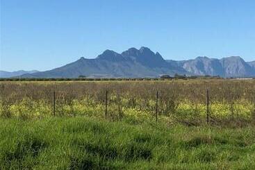 بنسيون The Vineyard East