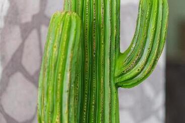 Design Hotel Astra B&b