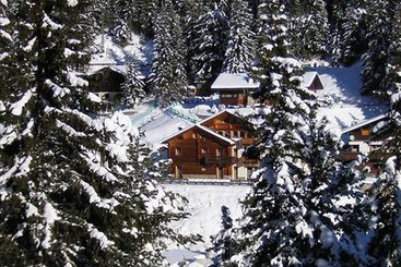 Chalet Le Betulle