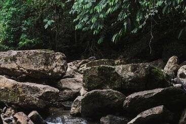 هتل Hamadryade Lodge