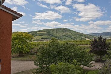 בית מלון כפרי Hôtel Des Vignes