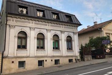 בית מלון כפרי Pensiunea Vidalis