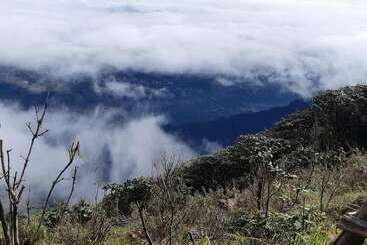住宿加早餐 A Single Room In A Nice Palais