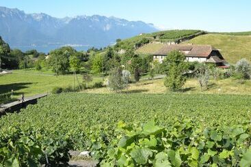 酒店 De La Vieille Tour