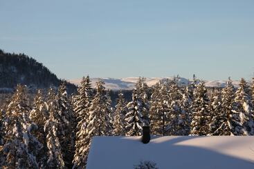 בית מלון כפרי Lampeland