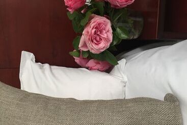 Grand Hotel De La Poste Lyon Sud Vienne