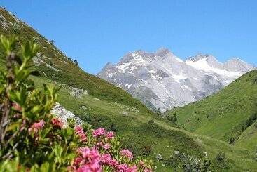 酒店 Hôtel La Grange Aux Marmottes