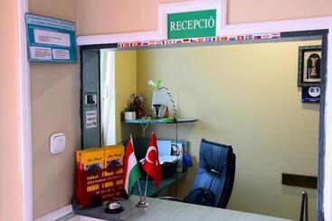 酒店 Irini Panzió