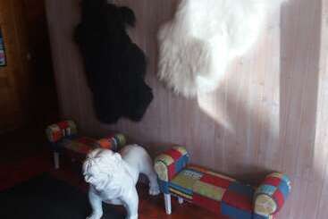 בית מלון כפרי Schmitta