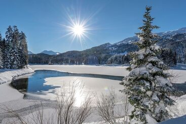 ホテル Schweizerhof