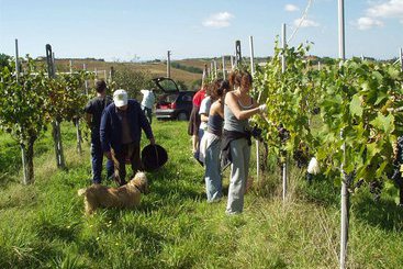 Agriturismo Frattavecchia