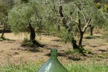 Отель Agriturismo Villa Alari