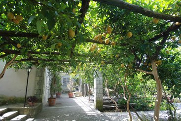 コテージ Agriturismo Il Vitigno