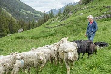 בית מלון כפרי Au Bivouac De Napoléon