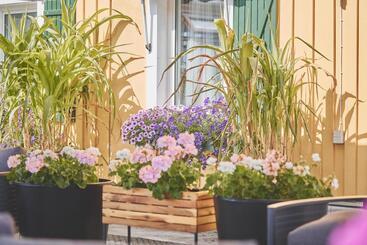 Björkbackens Karaktärshotell