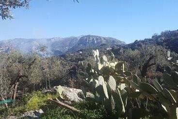 فندق Gli Ulivi Agriturismo