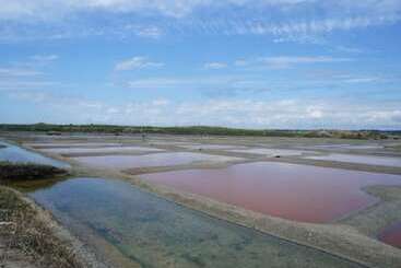 בית מלון כפרי Et Studios Le Marina Baie De La Baule