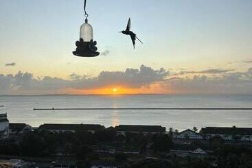 酒店 Pousada Beija Flor