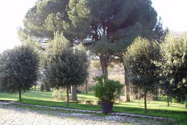 Отель Tenuta Montelaura