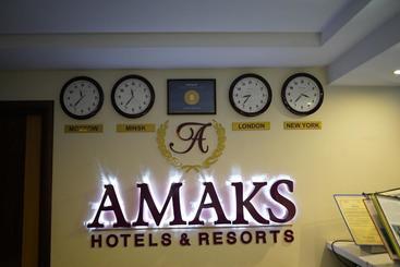 ホテル Amaks Vizit