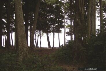 منتجع The Barefoot At Havelock