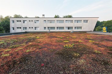 Petul Aparthotel City