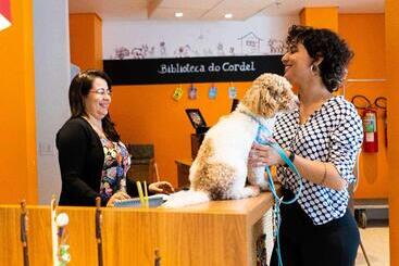 酒店 Ibis Styles Campina Grande