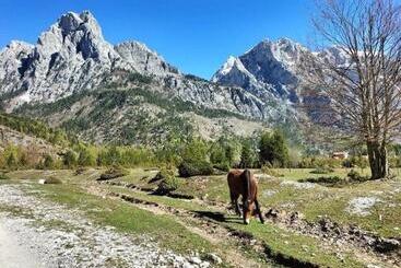 민박 Bujtina Arlindi