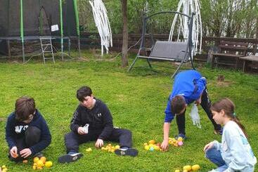 酒店 Restaurant Plutitor Delta Ways