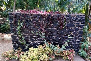 ペンション Yelona