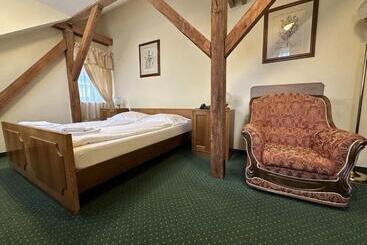 Отель Chateau Cihelny