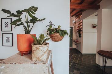 بنسيون Centro Hostel Medellin