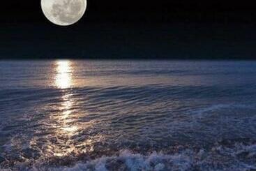 膳宿费 Mare Azzurro