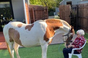 בית מלון כפרי Farm Stay Maple Cottage At Wilindi Estate