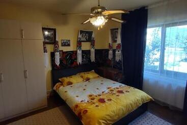 Pensiunea Ghiță Vasile