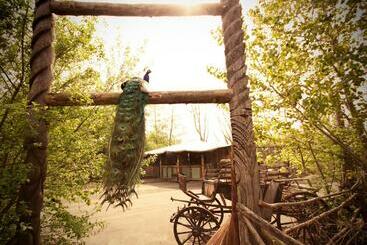 تختخواب و صبحانه Bamboo Lodge Groningen