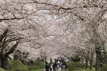 Apa Hotel Kitakami Ekinishi