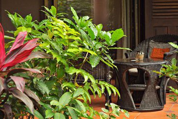 استراحتگاه The River Garden Siem Reap