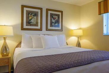 Resort Sixty Six