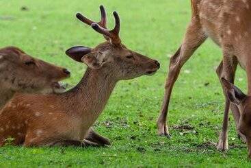 Iroha Grand Hotel Kintetsu Nara Ekimae