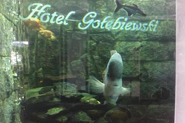 ホテル Gołębiewski Białystok