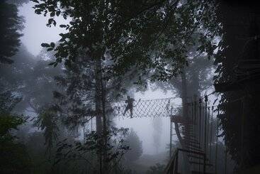 هتل Tea Valley Resort, Munnar