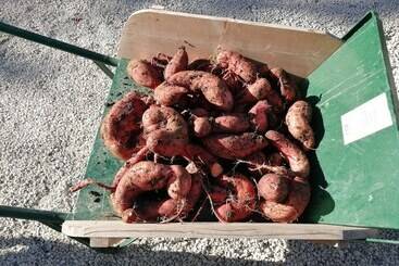 민박 Domaine De Savignac