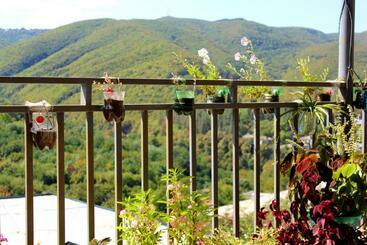 پانسیون New House Signagi