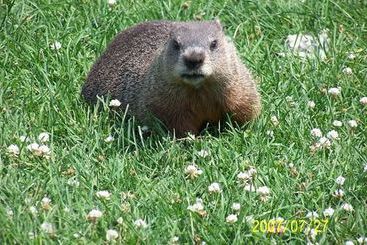 فندق Les Falaises Ski-in Ski-out Condo